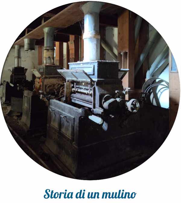 Ti potrebbe interessare anche...